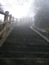 Mt Emei Shan - the long, foggy way to the top