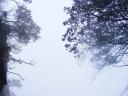Mt Emei Shan - foggy