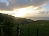 Raglan