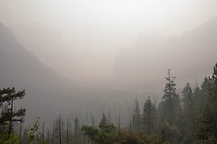IMG_3270