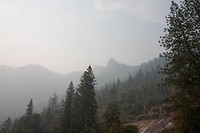 IMG_3272
