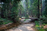 IMG_3280