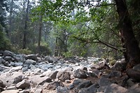 IMG_3295