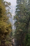 IMG_3301