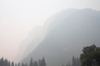 IMG_3308
