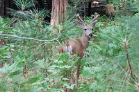 IMG_3314