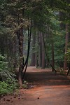 IMG_3320