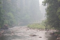 IMG_3321