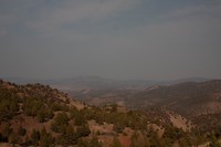 IMG_3445