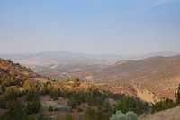 IMG_3451