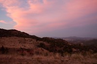 IMG_3531