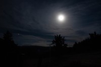 IMG_3548