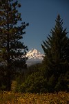 IMG_3623