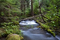 IMG_3636