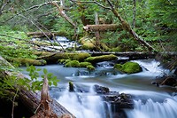 IMG_3643