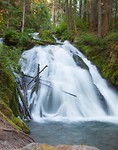IMG_3649