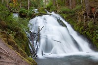 IMG_3650