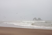 IMG_3717