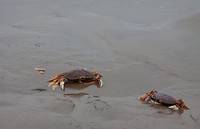 IMG_3725