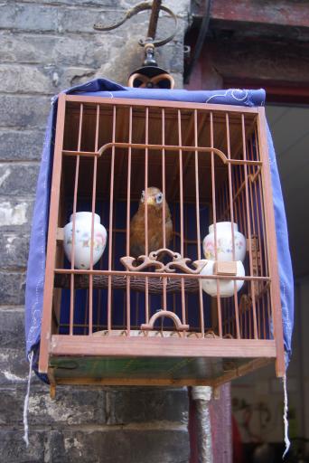DSC02874