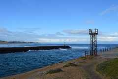 DSC_0020