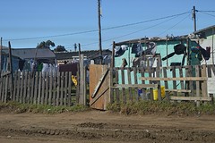 DSC_0070