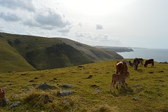 DSC_0338