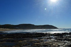 DSC_0271