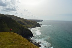 DSC_0331