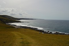 DSC_0365
