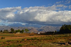 DSC_0089