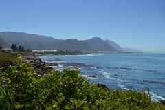 DSC_0360