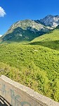 IMG_4004