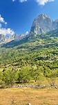 IMG_4010