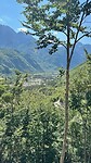 IMG_4029