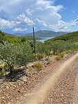 IMG_2078