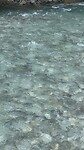 image18