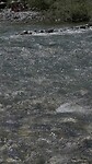 image21