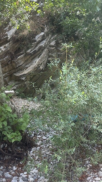 image23