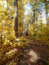 Wederom een portage