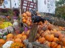 Halloween in Quebec