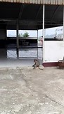 VID_20180821_135826