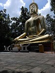 BigWij Boedha - Wat Analayo
