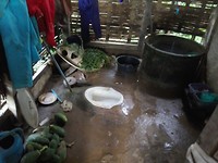 Toilet, met ernaast papaya en basil...