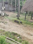 IMG_20180921_073752