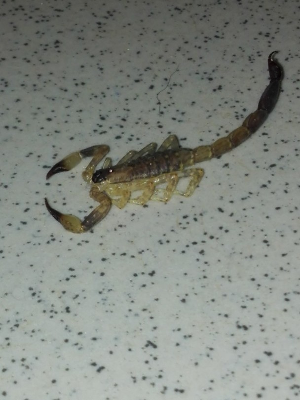 Zat naast het bed toen we wakker werden......