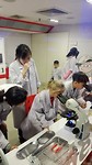 Melkprodukten maken, checken op bacteriën