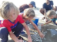 Vissers op de pier helpen