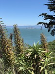 Golden Gate Plaza