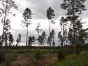 wandeling in Orsa